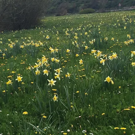 Guest house El Resbalon Cervera De Pisuerga