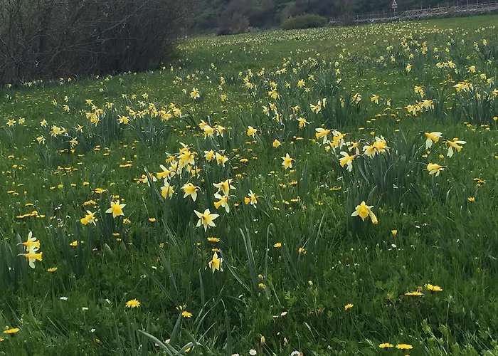 Gasthuis El Resbalon Cervera De Pisuerga